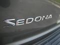 2005 Sage Green Metallic Kia Sedona LX  photo #8