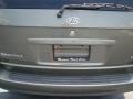 2005 Sage Green Metallic Kia Sedona LX  photo #10