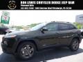 2016 ECO Green Pearl Jeep Cherokee Latitude 4x4  photo #1