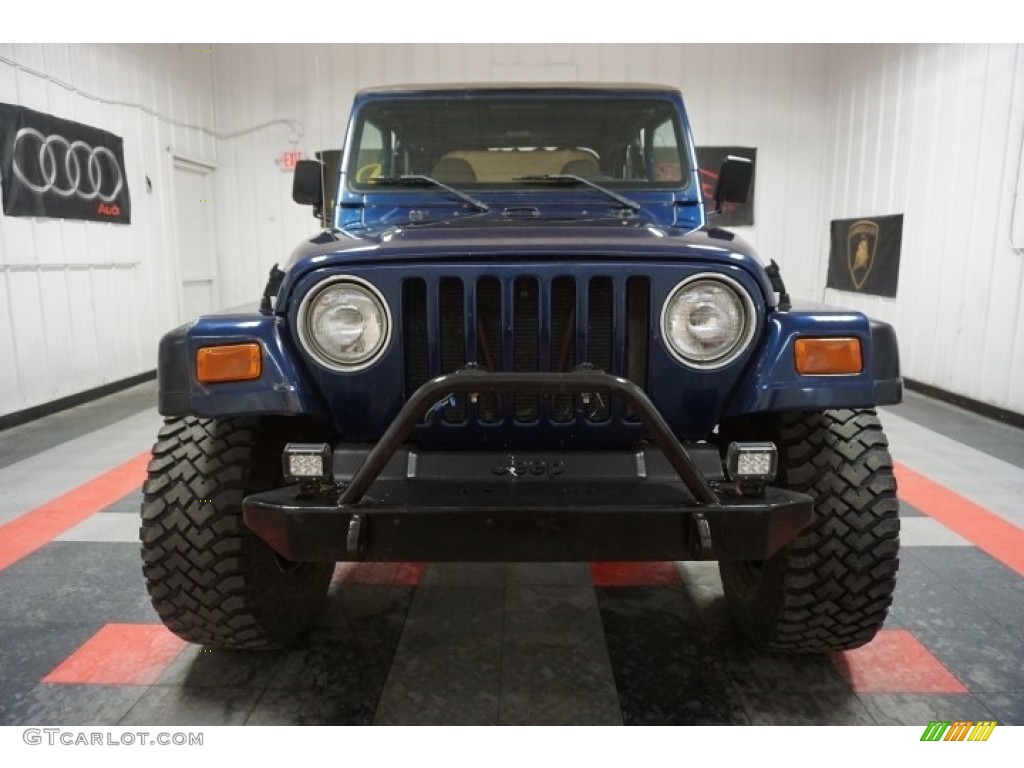 2002 Wrangler X 4x4 - Patriot Blue Pearl / Camel Beige photo #4