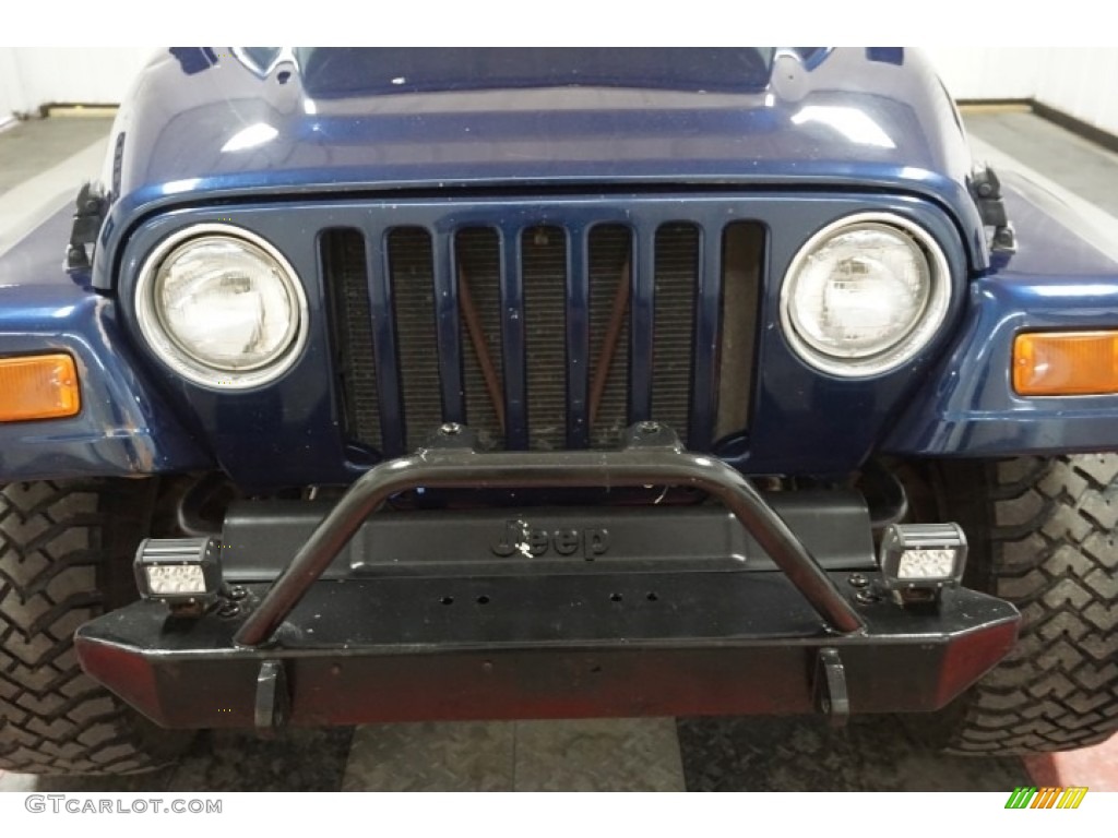 2002 Wrangler X 4x4 - Patriot Blue Pearl / Camel Beige photo #47