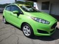 2014 Green Envy Ford Fiesta SE Hatchback  photo #8