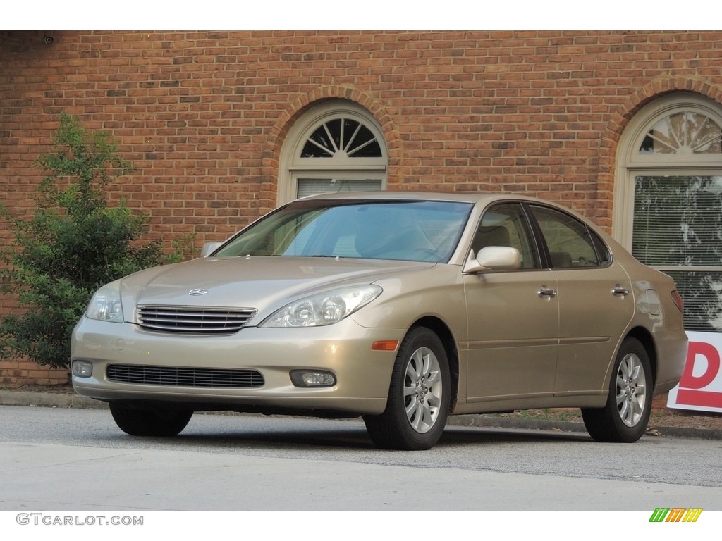 2004 ES 330 - Mystic Gold Metallic / Ivory photo #6