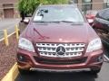 2009 Barolo Red Metallic Mercedes-Benz ML 350 4Matic  photo #2