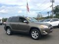 2010 Pyrite Metallic Toyota RAV4 Limited 4WD  photo #3