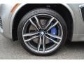 2015 BMW X5 M Standard X5 M Model Wheel and Tire Photo