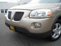 Sedona Beige Metallic - Montana SV6 Photo No. 9