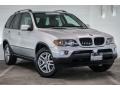 Alpine White - X5 3.0i Photo No. 12
