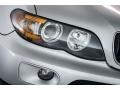 Alpine White - X5 3.0i Photo No. 27