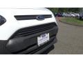 Frozen White - Transit Connect XL Cargo Van Extended Photo No. 24
