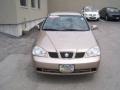 Champagne Beige Metallic - Forenza S Photo No. 7