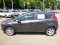 Magnetic Metallic - Fiesta SE Hatchback Photo No. 7
