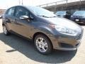 Magnetic Metallic - Fiesta SE Hatchback Photo No. 10