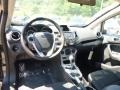 Magnetic Metallic - Fiesta SE Hatchback Photo No. 14