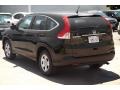 Crystal Black Pearl - CR-V LX Photo No. 2