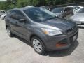 Sterling Gray Metallic - Escape S Photo No. 1