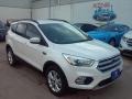 2017 White Platinum Ford Escape SE  photo #1