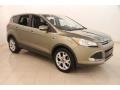 Ginger Ale Metallic 2013 Ford Escape SEL 1.6L EcoBoost