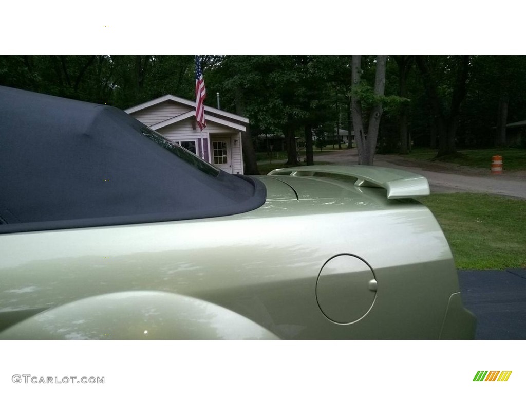 2006 Mustang GT Premium Convertible - Legend Lime Metallic / Light Parchment photo #4