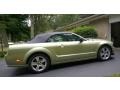 2006 Legend Lime Metallic Ford Mustang GT Premium Convertible  photo #9