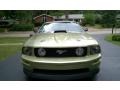 2006 Legend Lime Metallic Ford Mustang GT Premium Convertible  photo #10