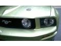 2006 Legend Lime Metallic Ford Mustang GT Premium Convertible  photo #28