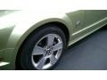 2006 Legend Lime Metallic Ford Mustang GT Premium Convertible  photo #30