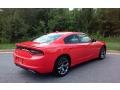 Go Mango - Charger R/T Photo No. 5