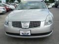 Liquid Silver Metallic - Maxima 3.5 SL Photo No. 8