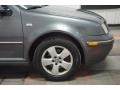 2004 Platinum Grey Metallic Volkswagen Jetta GLS Sedan  photo #52