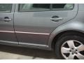 2004 Platinum Grey Metallic Volkswagen Jetta GLS Sedan  photo #70