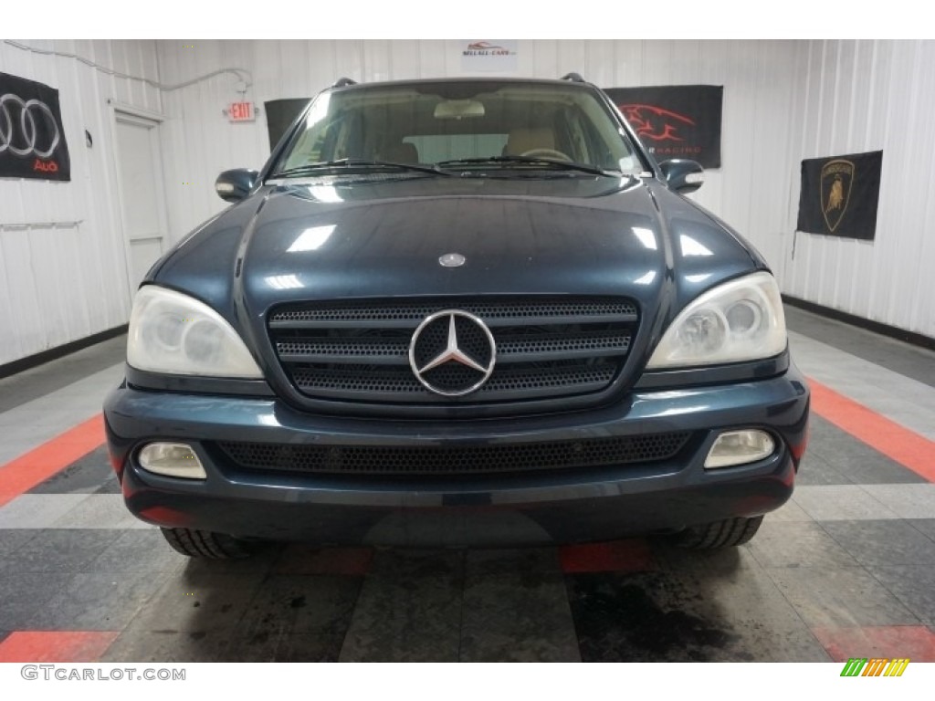 2003 Black Opal Metallic MercedesBenz ML 320 4Matic 114623794 Photo