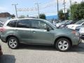 Jasmine Green Metallic 2016 Subaru Forester 2.5i Premium Exterior