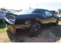 Pitch Black - Challenger R/T Shaker Photo No. 2