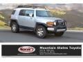 Titanium Metallic - FJ Cruiser 4WD Photo No. 1