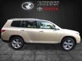 Sandy Beach Metallic - Highlander Limited 4WD Photo No. 2