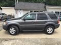 2004 Dark Shadow Grey Metallic Ford Escape XLT V6 4WD  photo #3