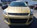 2014 Karat Gold Ford Escape SE 1.6L EcoBoost 4WD  photo #9