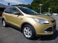 2014 Karat Gold Ford Escape SE 1.6L EcoBoost 4WD  photo #10