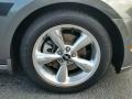 Sterling Gray - Mustang V6 Convertible Photo No. 30