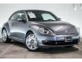 Platinum Gray Metallic - Beetle 2.5L Photo No. 11