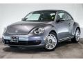 Platinum Gray Metallic - Beetle 2.5L Photo No. 13