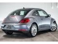 Platinum Gray Metallic - Beetle 2.5L Photo No. 14