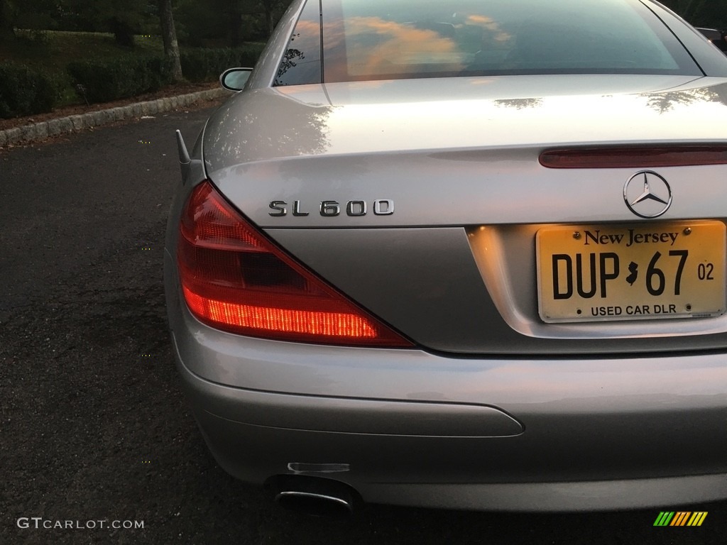 2005 SL 600 Roadster - Brilliant Silver Metallic / Charcoal photo #9