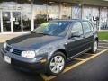 Blue Anthracite Metallic - Golf GL 4 Door Photo No. 1