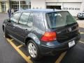 Blue Anthracite Metallic - Golf GL 4 Door Photo No. 3