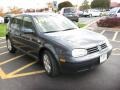 Blue Anthracite Metallic - Golf GL 4 Door Photo No. 6