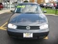 Blue Anthracite Metallic - Golf GL 4 Door Photo No. 7