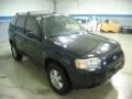 2003 Black Clearcoat Ford Escape XLS V6  photo #5