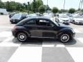 Black - Beetle 2.5L Photo No. 3
